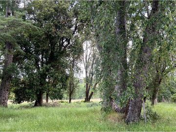 VENTA DE CASA EN LOS LAURELES SECTOR CUNCO