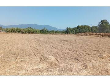 Parcela de Agrado en Placilla