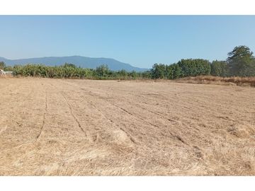 Parcela de Agrado en Placilla