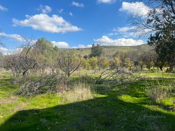 GRAN OPORTUNIDAD VENTA DE PARCELA  5.000M