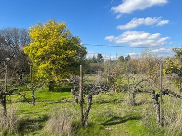 GRAN OPORTUNIDAD VENTA DE PARCELA  5.000M