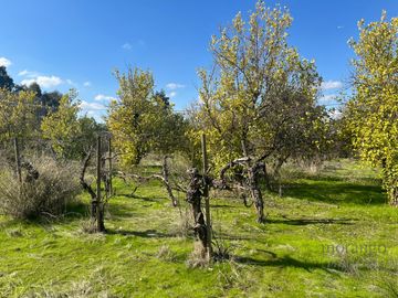 GRAN OPORTUNIDAD VENTA DE PARCELA  5.000M