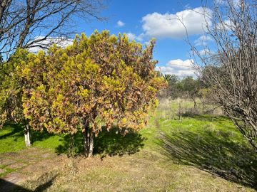 GRAN OPORTUNIDAD VENTA DE PARCELA  5.000M