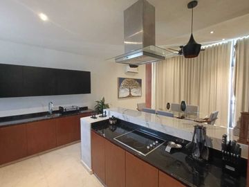 Penthouse en Renta en Montes de Ame 