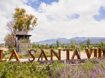 Terreno en Venta en La Santa Vid, San Miguel de Allende – 1,189 m²