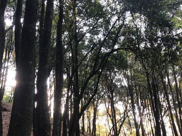 Terrenos Venta Huixquilucan de Salazar