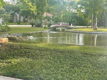 Terreno en Venta, Conkal, 948m²