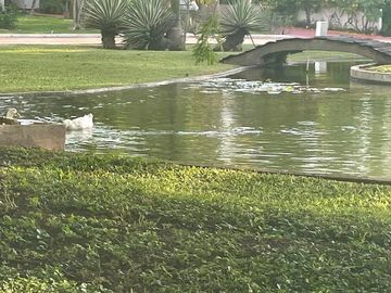 Terreno en Venta, Conkal, 948m²