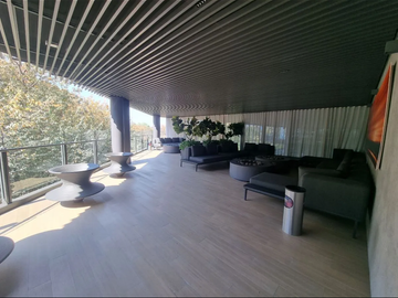 Pharalell  en venta
