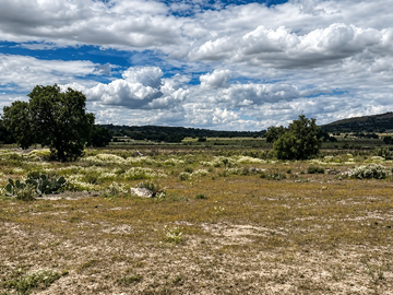 TERRENO ESTRATÉGICO CERCA DEL AIFA