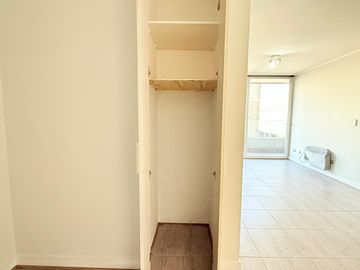 Toro Mazote 76 [196-3]