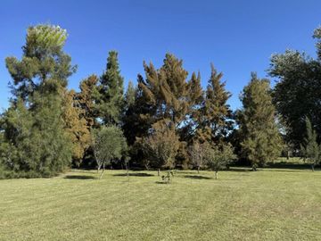 VENTA CASA 4 AMBIENTES LOS CARDALES CHACRA