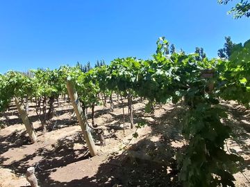 Finca con casa, departamentos y galpón en venta