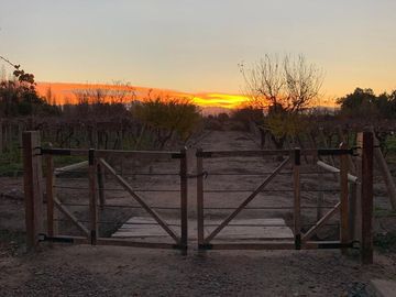 Finca con casa, departamentos y galpón en venta