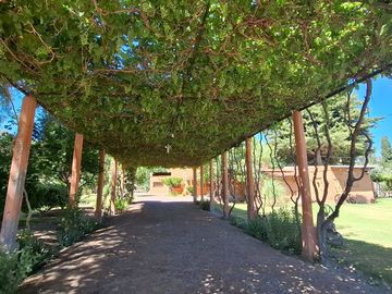 Finca con casa, departamentos y galpón en venta