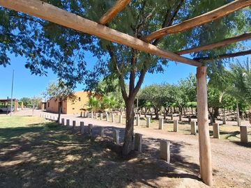 Finca con casa, departamentos y galpón en venta