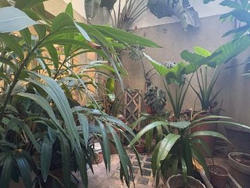 VENTA - Depto 4 amb - Balcón - Cochera - Terraza