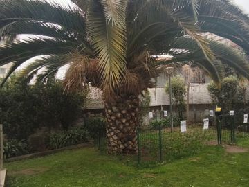 Departamento en arriendo  en SAN MIGUEL