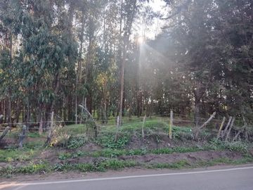 SE VENDE CASA CON CABAÑAS EQUIPADAS CAMINO RITOQUE QUINTERO