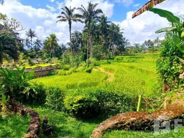 3 Bedroom Villa for rent in Ginyar, Bali