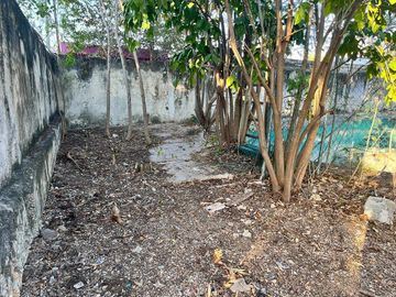 TERRENO EN VENTA EN COLONIA ITZIMNA