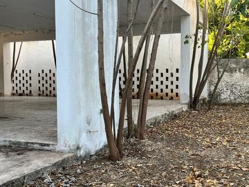 TERRENO EN VENTA EN COLONIA ITZIMNA