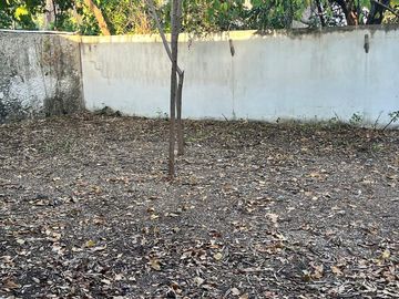 TERRENO EN VENTA EN COLONIA ITZIMNA