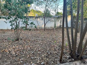 TERRENO EN VENTA EN COLONIA ITZIMNA