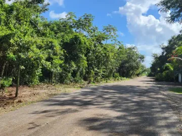 RANCHO EN VENTA LEONA VICARIO 10 HECTÁREAS  ARBOLES FRUTALES