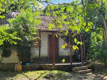 RANCHO EN VENTA LEONA VICARIO 10 HECTÁREAS  ARBOLES FRUTALES