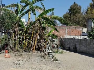 VENTA TERRENO STA CRUZ BUENAVISTA