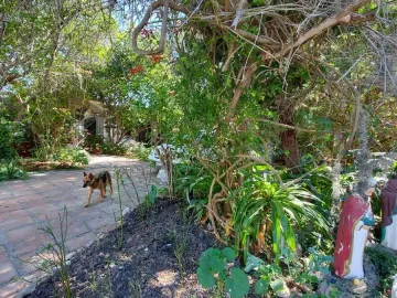 Casa en Venta en Tecali de Herrera