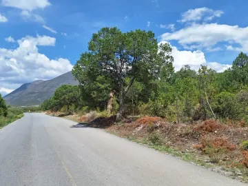 Terreno en venta en El Diamante, Arteaga, Coahuila de Zaragoza