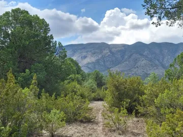 Terreno en venta en El Diamante, Arteaga, Coahuila de Zaragoza