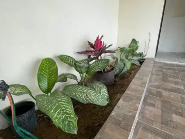 Casa en renta en Terralta, Saltillo, Coahuila de Zaragoza