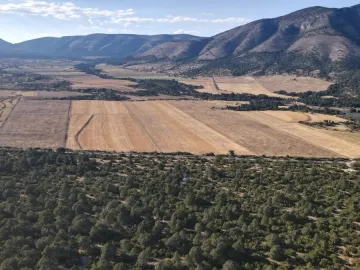 Terreno en venta en El Diamante, Arteaga, Coahuila de Zaragoza