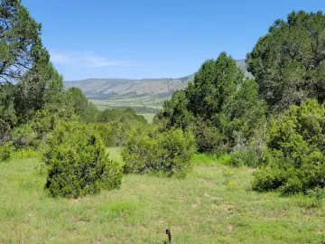 Terreno en venta en El Diamante, Arteaga, Coahuila de Zaragoza