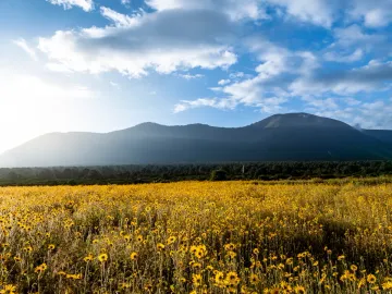 Terreno en venta en El Diamante, Arteaga, Coahuila de Zaragoza