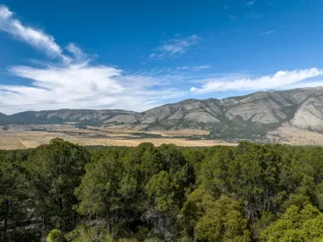 Terreno en venta en El Diamante, Arteaga, Coahuila de Zaragoza