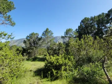 Terreno en venta en El Diamante, Arteaga, Coahuila de Zaragoza