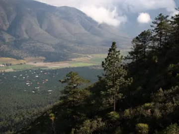 Terreno en venta en El Diamante, Arteaga, Coahuila de Zaragoza
