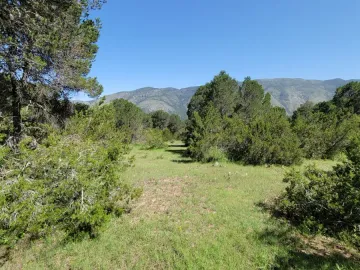 Terreno en venta en El Diamante, Arteaga, Coahuila de Zaragoza
