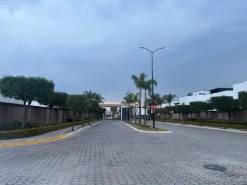 Terreno en venta en Fraccionamiento Lomas de  Angelópolis, San Andrés Cholula, Puebla
