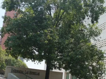 Departamento en renta en Residencial Santa Bárbara, San Pedro Garza García, Nuevo León