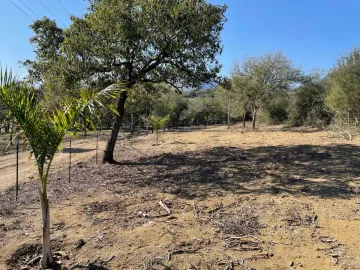 Terreno en venta en Sin colonia, Montemorelos, Nuevo León