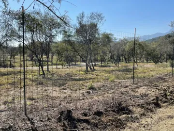 Terreno en venta en Sin colonia, Montemorelos, Nuevo León