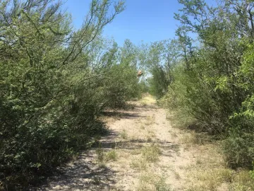 Terreno en venta en Sin colonia, Pesquería, Nuevo León