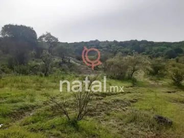 Terreno en venta en Pueblo San Baltasar Tetela, Puebla, Puebla