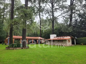Terreno en venta en Sin colonia, San Salvador El Verde, Puebla
