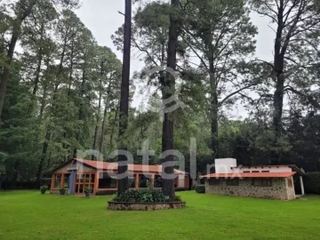 Terreno en venta en Sin colonia, San Salvador El Verde, Puebla